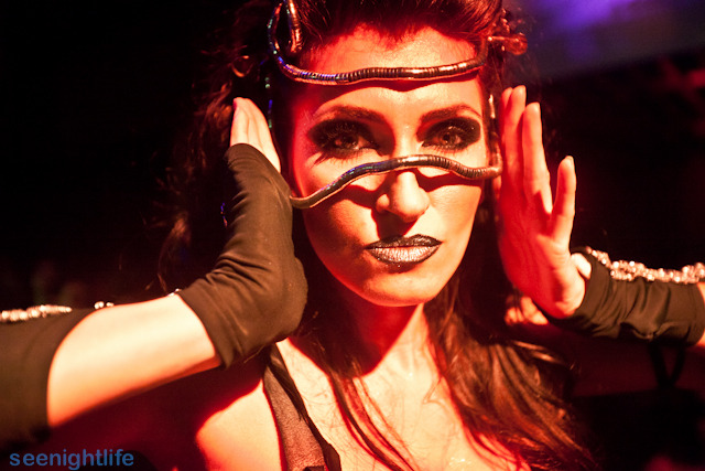 IMAGE: http://seenightlife.com/photos/16256/original_RP-1759.jpg?1327937972