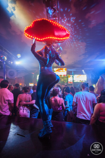 IMAGE: http://seenightlife.com/photos/28407/original_saf-1782.jpg?1370298136