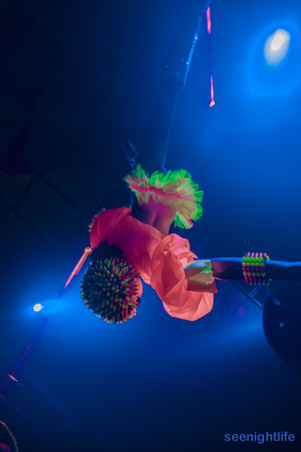 IMAGE: http://seenightlife.com/photos/36417/original_tmb-5807.jpg